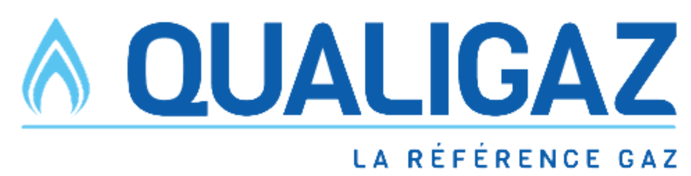 PROFESSIONNEL-DU-GAZ-logo (3)